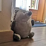 Petite Maison Gaspard * Valtournenche