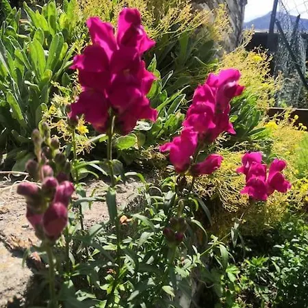 Appartamento Petite Maison Gaspard Cir 0508 *