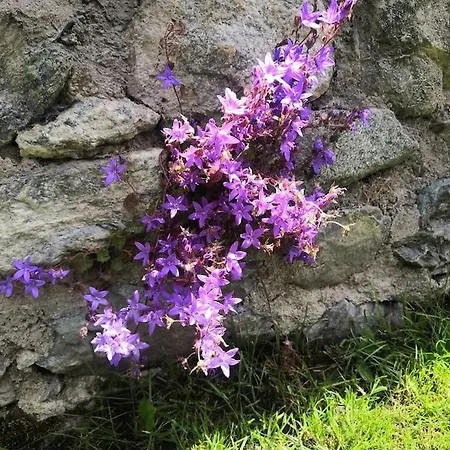 Petite Maison Gaspard Cir 0508