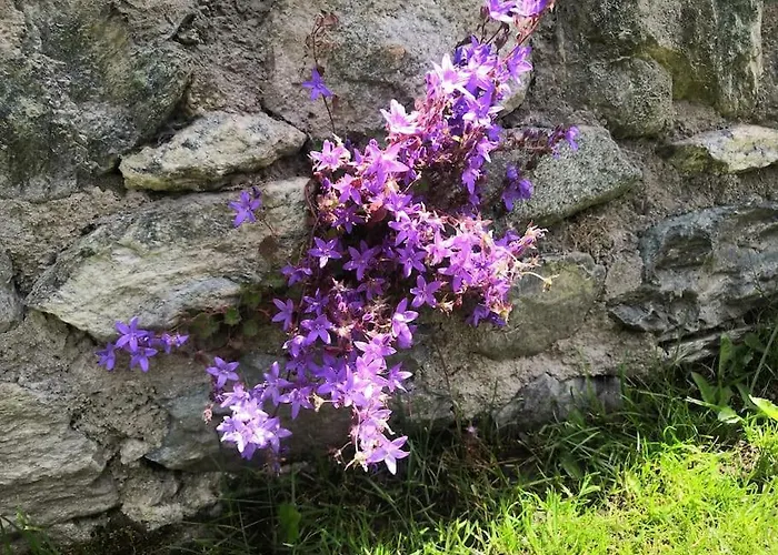 Petite Maison Gaspard